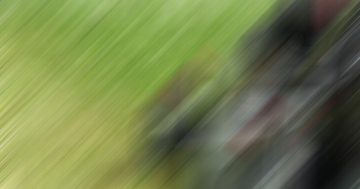 The Best Time to Reseed Your Lawn