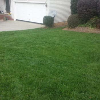 Lawn Grow