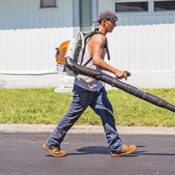 Yard Work