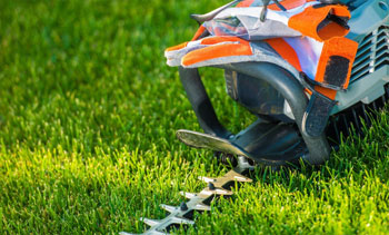Lawn Care Tips for the Spring Season